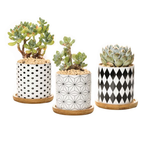 B&W Planters Set of 3